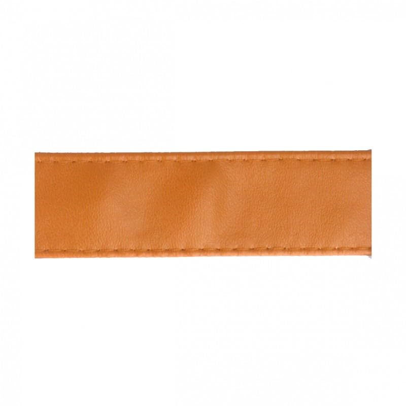 PST Diskette 15 m Gurt aus Kunstleder 25 mm Camel - Loisirs Créatifs en promo à 6.29€