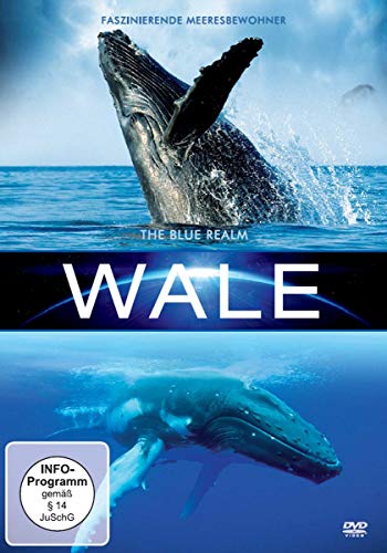 Wale [Alemania] [DVD] - Musique & Instruments en promo à 7.38€