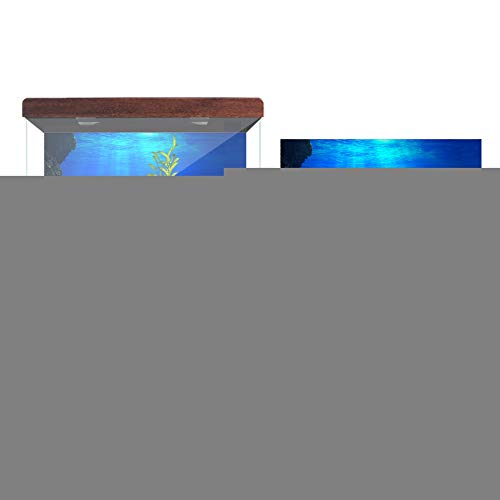 Efecto 3D Adhesivo Seaworld Poster Acuario Telón de Fondo... - Maison & Cuisine Amazon Espagne à 9.83€