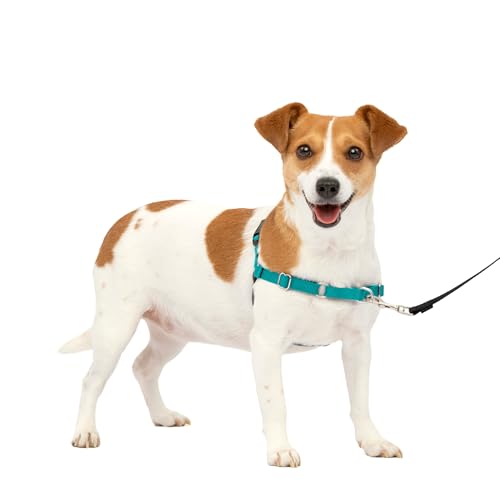 PetSafe, Easy Walk Hundegeschirr, das ultimative Geschirr... - Animalerie en promo à 15.99€