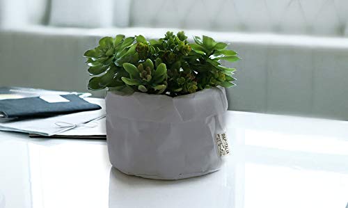 B&P Italia Sac Cache-Pot pour Plantes en Fibre de... - Jardin & Extérieur Amazon France à 6.73€