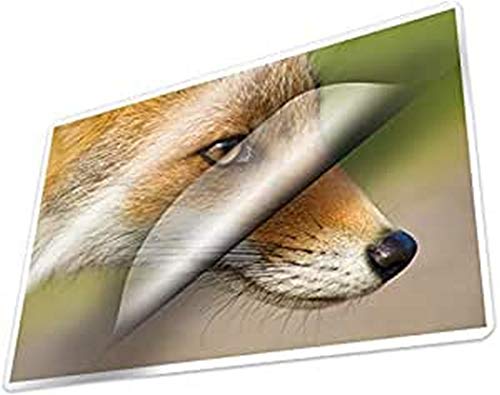 Kangaro Film de plastification 65 x 95 mm 65 x 95 mm 125... en promo à 3,84€ (-64%) sur Amazon FR