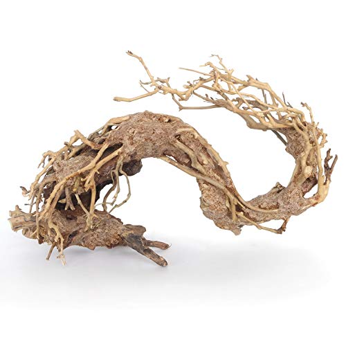 Amtra A8147650 Holz Oriental Wind 2, S - Animalerie Amazon Allemagne à 20.97€