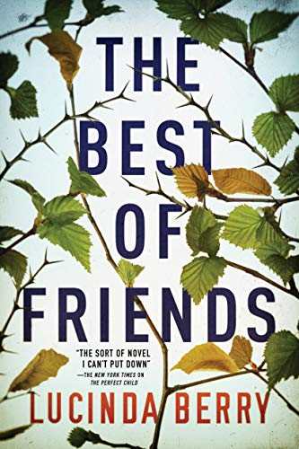 The Best of Friends - Amazon Royaume-Uni à 0.99€