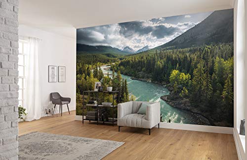 Komar SHX9-095, Non-Woven Photo Wallpaper with Wild Canada... - Maison & Cuisine en promo à 139.68€
