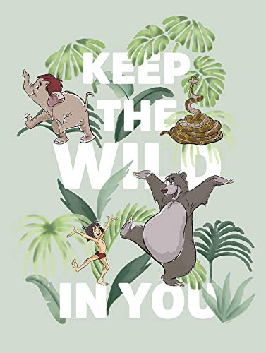 Komar Disney WB090-30x40 - Decorazione da Parete per... - Toys & Games Amazon Italy à 7.94€