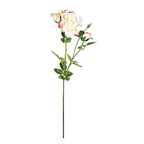 EUROCINSA Ref.47407C02 Lady Elfenbein mit Rose, Box mit 6... - Maison & Cuisine Amazon Allemagne à 36.55€