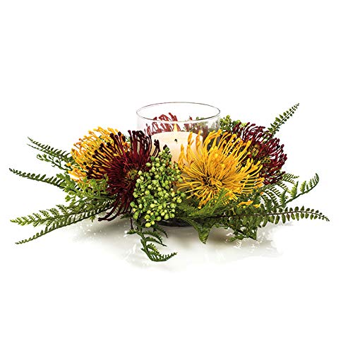 EUROCINSA Ref.12485C43 P/Segel Protea und Berrys, Box mit 1... - Home & Kitchen Amazon Germany à 20.45€