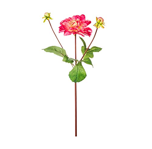 EUROCINSA Ref.78330C25 Dalia mit 2 Kapseln... - Maison & Cuisine Amazon Allemagne à 23.22€