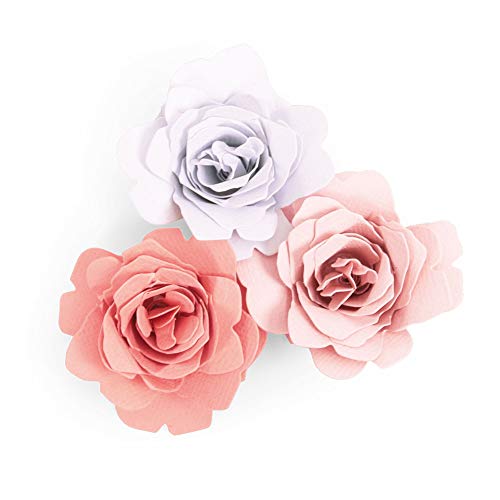 Sizzix Bigz Fustella, Taglia Unica, Grazia - Amazon Italy à 20.93€
