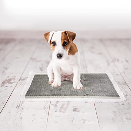 Duvo+ Puppy Pad Carbon - 30 x 45 cm - Auto & Moto en promo à 10.50€