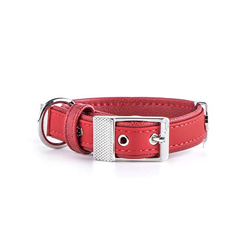 MyFamily Hundekragen in Italienisch verstellbar wie in... - Animalerie Amazon Allemagne à 13.69€