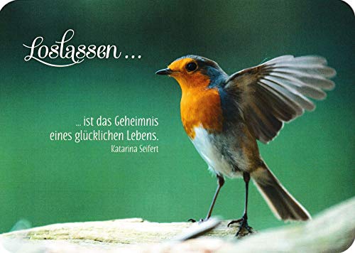 Postkarte Besinnliches"Loslassen ." - Fournitures Bureau Amazon Allemagne à 1.30€