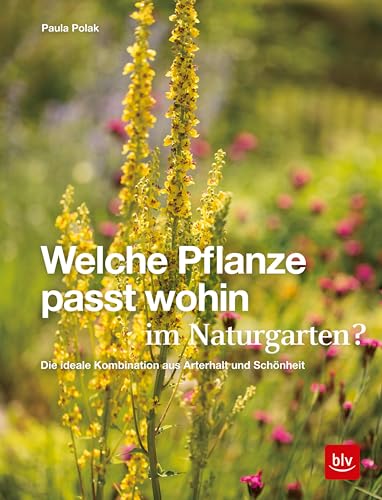 Welche Pflanze passt wohin im Naturgarten?: Die ideale... - Jardin & Extérieur en promo à 7.49€