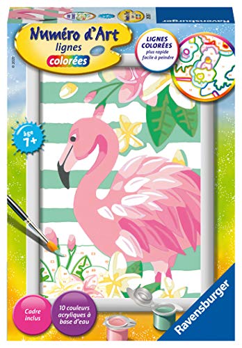 Ravensburger- Numéro d'art-Petit-Flamant Rose Hobby... - Pet Supplies Amazon Italy à 4.65€