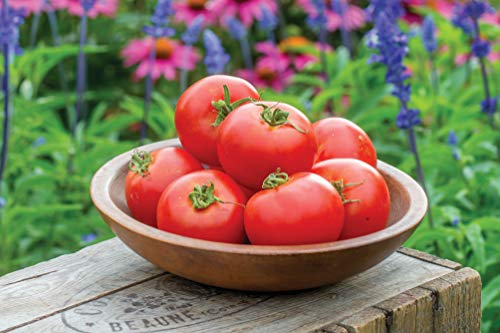 PREMIER SEEDS DIRECT - Tomato - Crimson Crush F1-10 Seeds - Auto & Moto Amazon Royaume-Uni à 1.89€