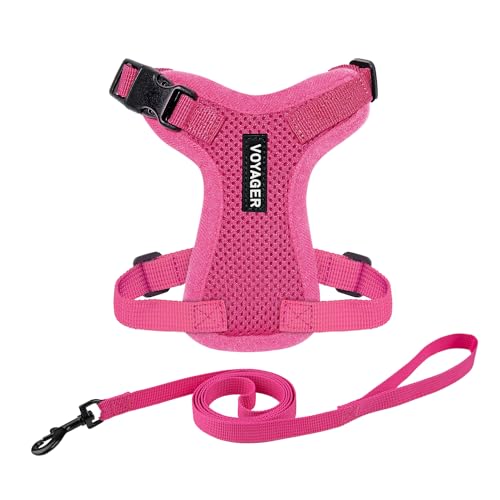 Voyager Step-in Lock Cat Harness and Reflective Cat Leash... - Vente Flash Amazon -69%