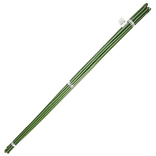 Tutor Tige en bambou plastifié Ø 12-14 mm. x 150 cm. (Lot... en promo à 14,90€ (-64%) sur Amazon FR