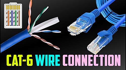 CONNECTION UTP CAT6 - Animalerie en promo à 1.50€