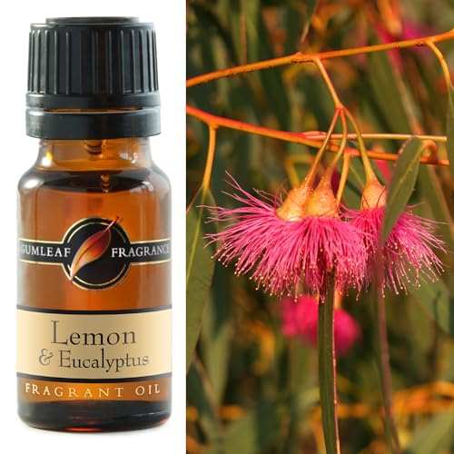 Gumleaf Fragrance Lemon & Eucalyptus Fragrant Oil - 10ml... - Beauté & Parfums Amazon Royaume-Uni à 4.19€