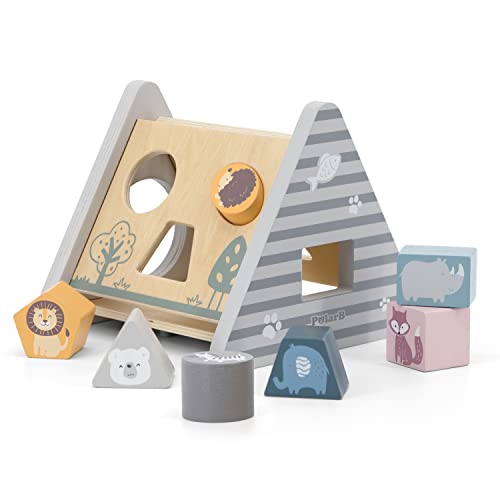 NCT PolarB Shape Sorter & Gear Play - Toys & Games Amazon Germany à 9.39€