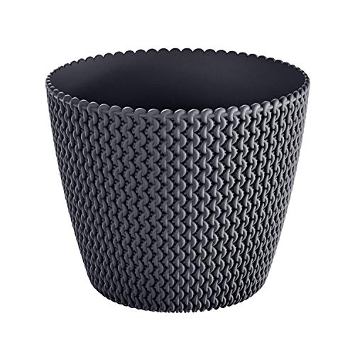 Prosperplast Splofy Macetero de plástico (187 mm, antracita) - Jardin & Extérieur Amazon Espagne à 2.94€