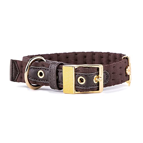 MyFamily Collare per Cane Regolabile in Nylon di Alta... - Pet Supplies Amazon Italy à 15.27€