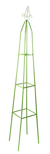 Kinzo Plants Standard 2 m en promo sur Amazon
