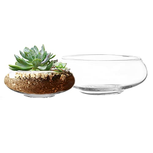 Royal Imports Blumen-Glasvase, Schale, Terrarium... - Home & Kitchen Amazon Germany à 20.22€