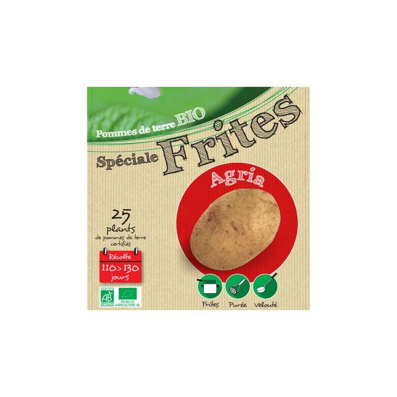 Agria Biologique 25 Plants de pomme de terre - Épicerie Amazon France à 10.90€
