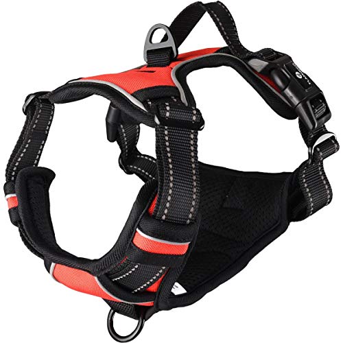 ARNES BALOU Rojo M 50-65CM 25MM - Amazon Espagne à 9.43€