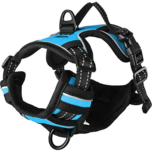 Flamingo Hundegeschirr - hundegeschirr kleine Hunde... - Animalerie en promo à 14.30€