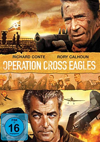 Operation Cross Eagles - Jeux Vidéo & Consoles Amazon France à 21.99€