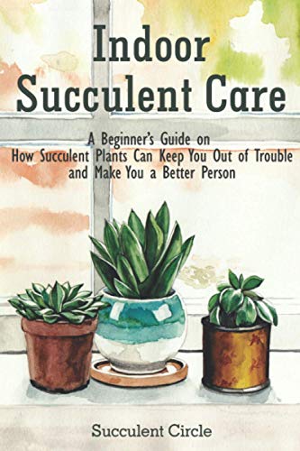 Indoor Succulent Care: A Beginner's Guide on How Succulent... - Maison & Cuisine Amazon Royaume-Uni à 4.77€