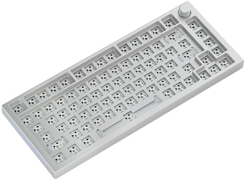 Glorious PC Gaming Race GMMK Pro White Ice 75% TKL Tastatur... - High-Tech & Électronique en promo à 89.99€