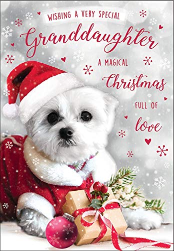 Piccadilly Greetings Cute (Photo) Christmas Card... - Auto & Moto Amazon Royaume-Uni à 1.71€
