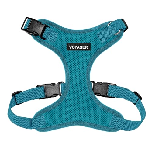 Best Pet Supplies Voyager Step-in Lock Pet Harness – All... - Animalerie en promo à 8.65€