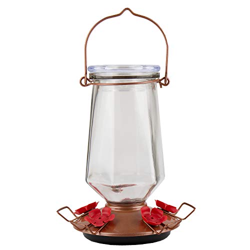Perky-Pet 9109-1SR - Mangiatoia per colibrì in vetro, 793,8... - Animalerie Amazon Italie à 10.97€