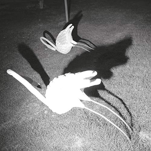 A Mimesis Of Nothingness [VINYL] - Musique & Instruments Amazon Royaume-Uni à 8.52€