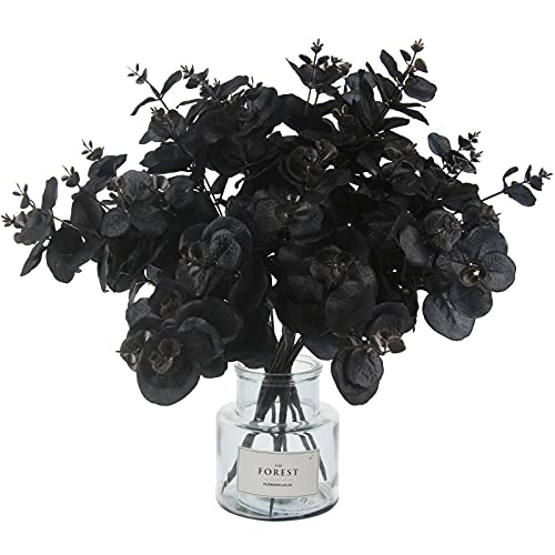 Tinsow 5 Tallos de eucalipto Artificiales Negros, Ramas de... - High-Tech & Électronique Amazon Espagne à 10.20€