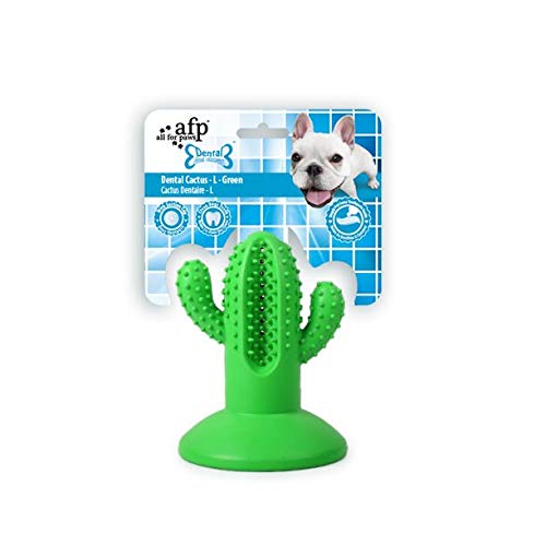 ALL FOR PAWS AFP Dental Chews - Dental Cactus L Groen - Beauty & Fragrances Amazon Italy à 9.75€