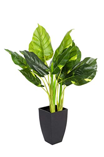 GreenBrokers Planta Artificial de Tacto Real en Maceta... - Jardin & Extérieur Amazon Espagne à 30.00€