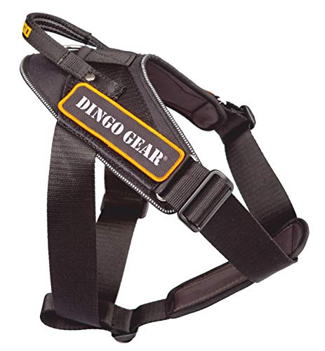 DINGO GEAR Working Dogs Harness Strong Handle Extreme... - Pet Supplies Amazon UK à 60.26€