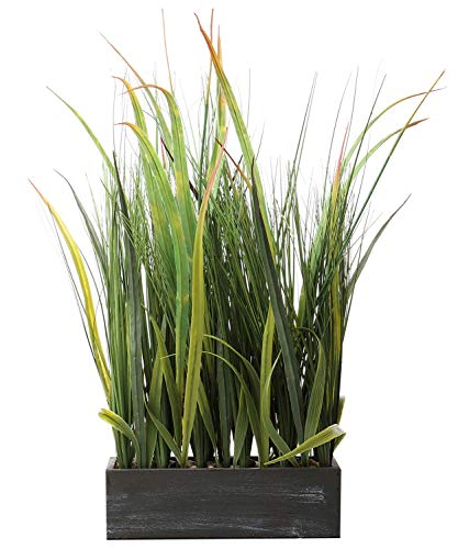 SAROSORA Künstliche Pflanzen, 55,9 cm hoch, für Garten... - Maison & Cuisine Amazon Allemagne à 23.21€