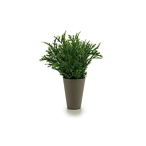 Ibergarden S3602946 Pot de Fleurs Gris - Jardin & Extérieur Amazon France à 0.99€