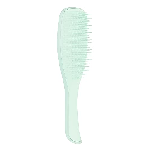 Tangle Teezer | La brosse à cheveux démêlante humide fine... - Beauté & Parfums Amazon France à 11.16€