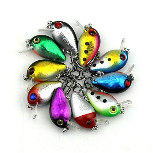 VOANZO 10 PCS Angelköder Köder Tackle, Simulation Farbe... - High-Tech & Électronique Amazon Allemagne à 6.99€