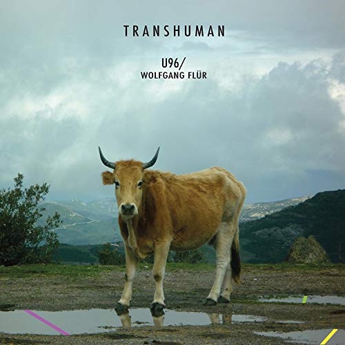 Transhuman - Musique & Instruments Amazon France à 16.89€