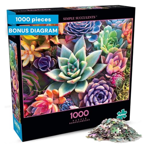 Buffalo Games 11985 Simple Succulent Puzzle, Green, L - Toys & Games Amazon UK à 7.57€