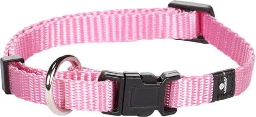 Flamingo Collier pour Chiens Ziggi - Rose - Taille 20-35... - Animalerie Amazon France à 1.69€